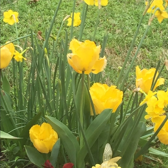 Meet your Posher, Bernice - Picture 10 of 12